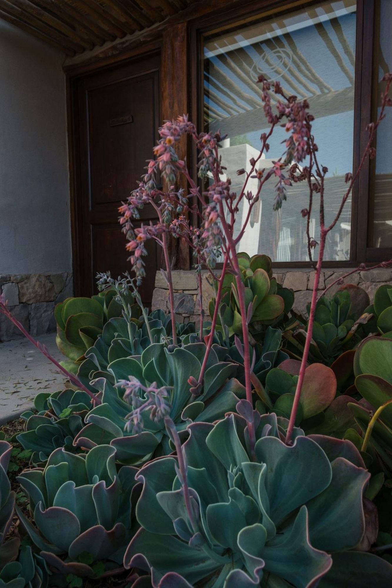 Aguacanto Cabanas Tilcara Exteriér fotografie